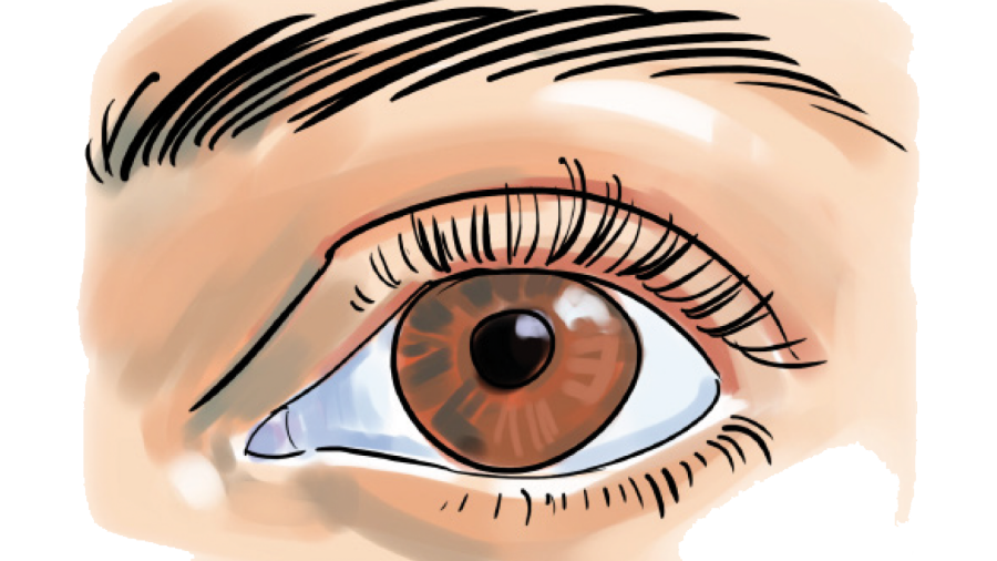 Illustration av ett brunt öga