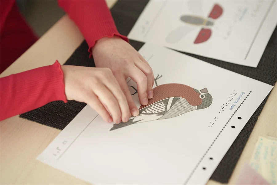 Elev läser punkskrift om domherre