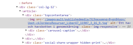 Bilden visar HTML-koder