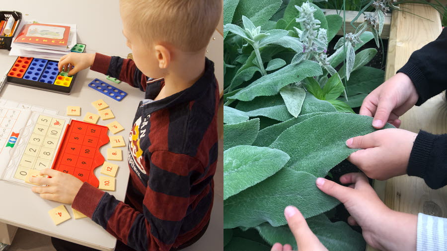 Två bilder som visar upp ämnesområdet Verklighetsuppfattning. Bilden till vänster visar en elev som räknar med hjälp av pussel och annat redskap. Bilden till höger visar några händer som känner på en växt.