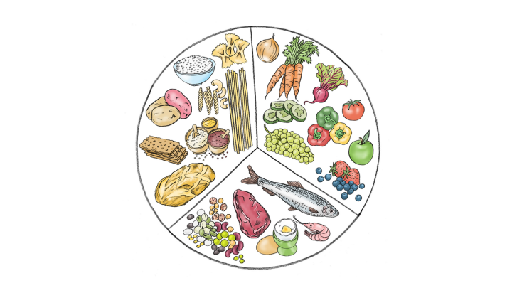 Illustration av en tallriksmodell. Många olika råvaror och maträtter på tallriken.