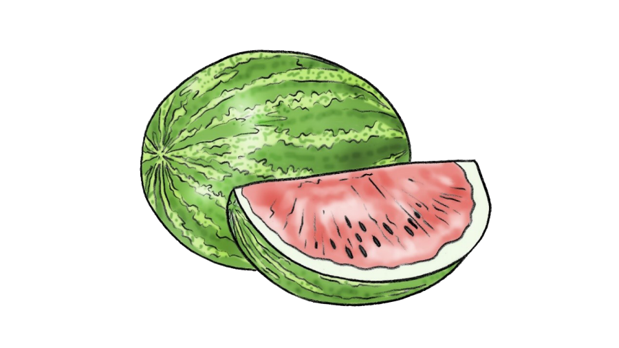 Illustration av en vattenmelon.