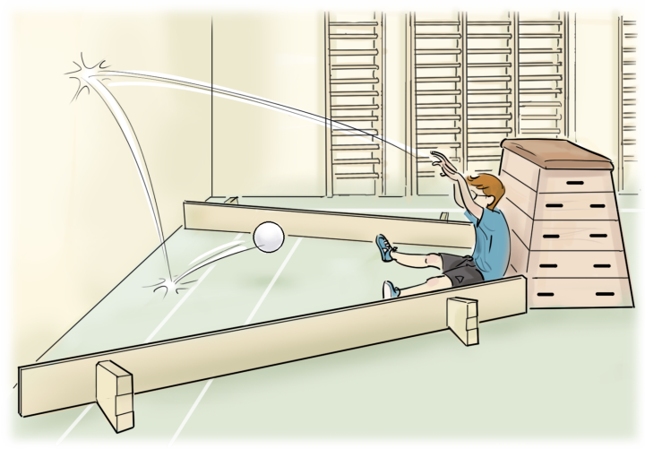 En elev som kastar boll mot en vägg. Eleven har ryggen mot en plint och ytan är avgränsad av två bänkar.
