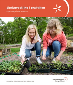 Sis-medelsbroschyr