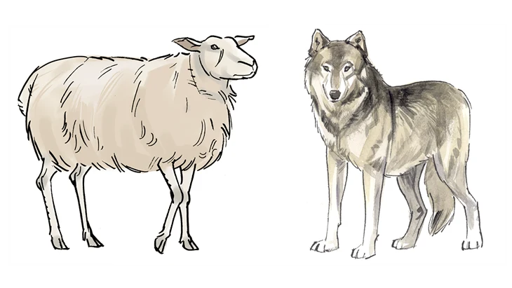 Ett får och en varg.