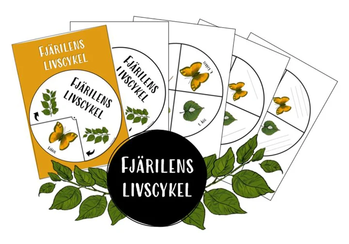 På illustrationen är det fem arbetsblad där det står fjärilens livscykel. På arbetsbladen ser man gröna blad och orangea fjärilar. Runt arbetsbladen är det en grön krans med blad. Längst fram på kransen finns en svart cirkel med vit text där det står Fjärilens livscykel. 