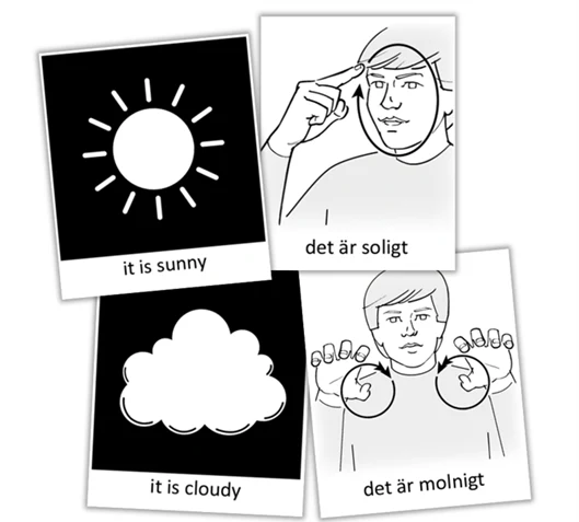 Pictogrambilder som föreställer de fyra årstiderna. Vinter, vår, sommar, höst. 
