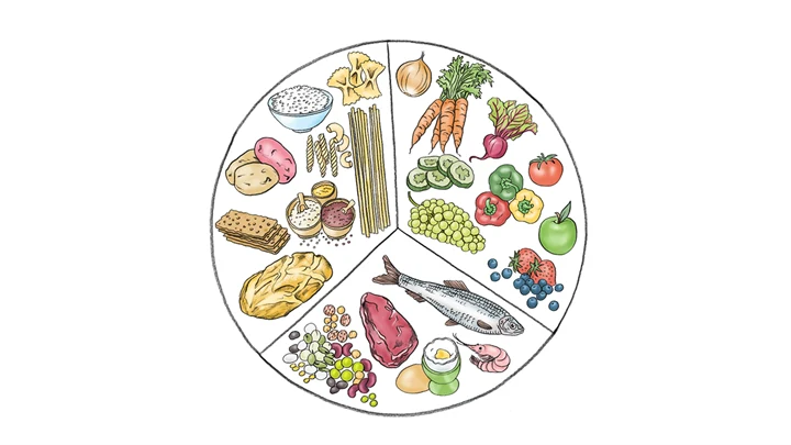Illustration av en tallriksmodell. Många olika råvaror och maträtter på tallriken.