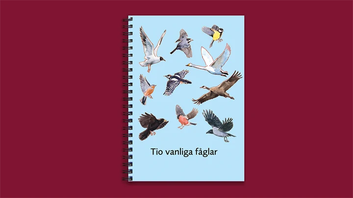 Läromedlet Tio vanliga fåglar. Arbetsboken och fickboken.
