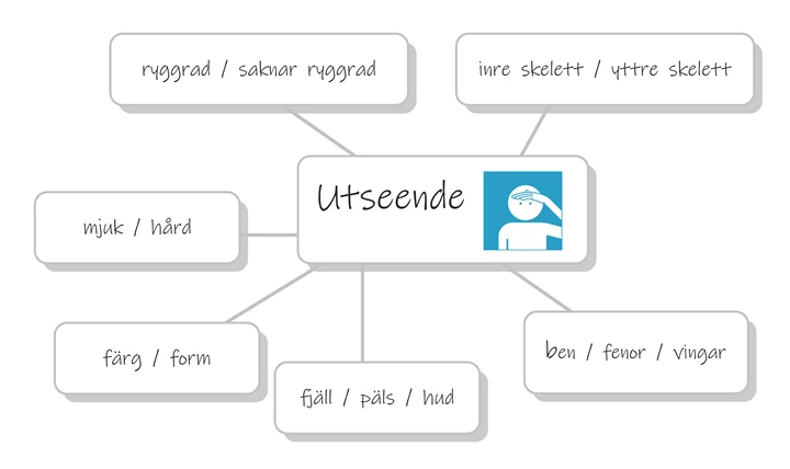 En tankekarta för att analysera olika djurs utseende.