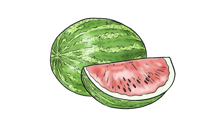 Illustration av en vattenmelon.