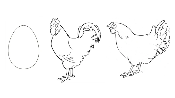 Illustration av ett ägg, en höna och en tupp