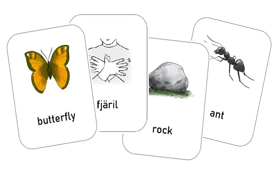 Fyra kort som visar fjäril, tecknet för fjäril, en sten och en myra.
