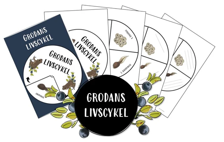 På illustrationen är det fem arbetsblad där det står grodans livscykel. På arbetsbladen ser man gröna blad och gröna grodor. Runt arbetsbladen är det en grön krans med blad. Längst fram på kransen finns en svart cirkel med vit text där det står Grodans livscykel. 