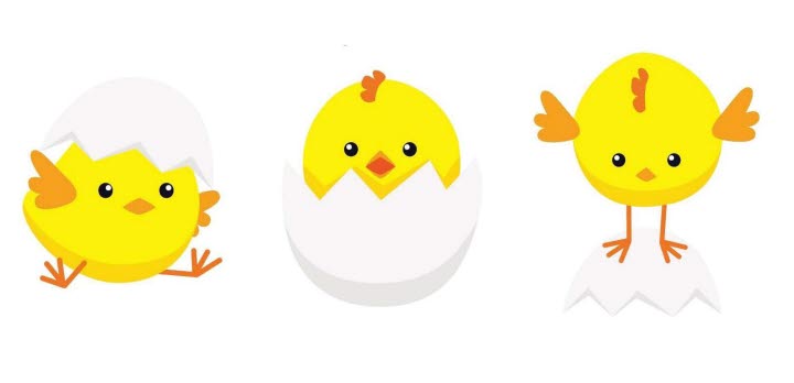 Tre kycklingar.