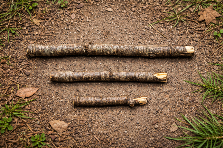 Bild på tre pinnar i olika längder