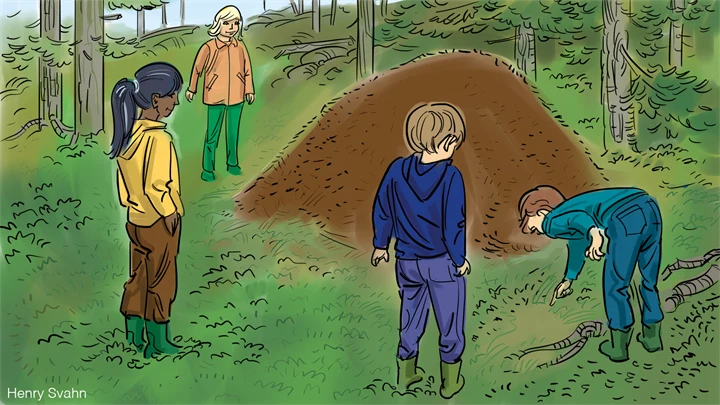Illustrerad bild på fyra barn som står vid en myrstack ute i skogen..
