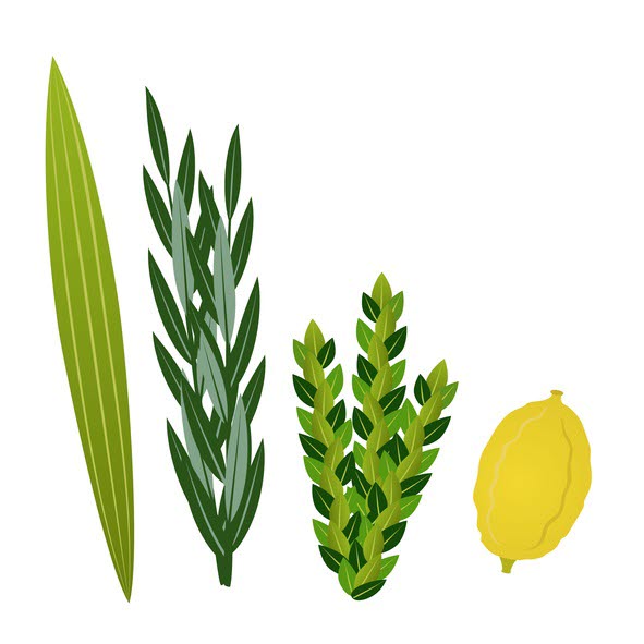 Fyra olika färska kryddor.