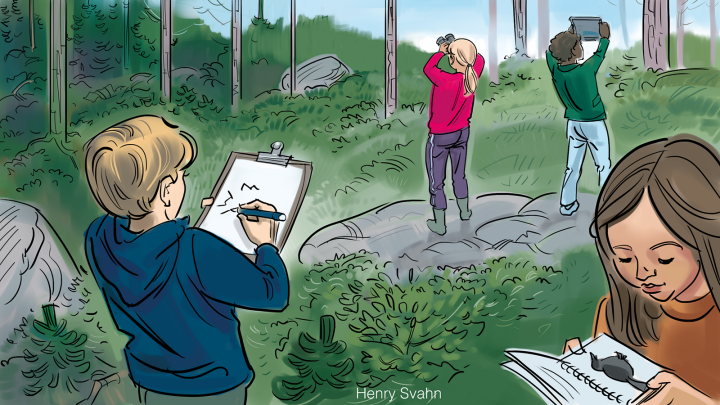 Fyra barn ute i skogen. En tittar i kikare, en tittar i en fågelbok, en ritar i ett block och en håller i en surfplatta.