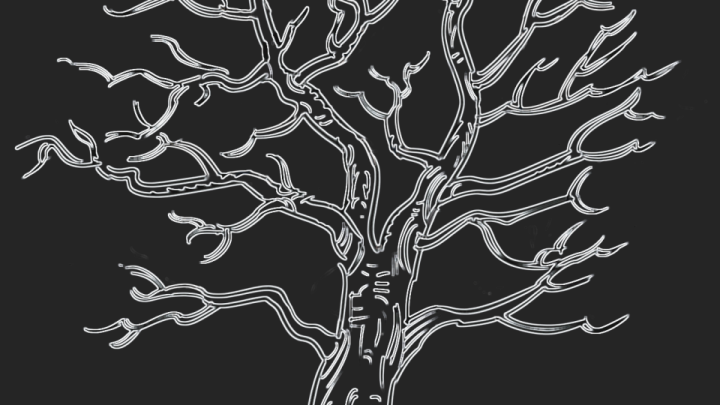 Illustration av ett vitt träd. Svart bakgrund.