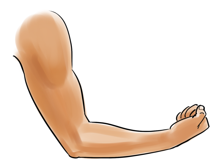 Illustrationen visar en böjd arm som knyter handen och spänner biceps