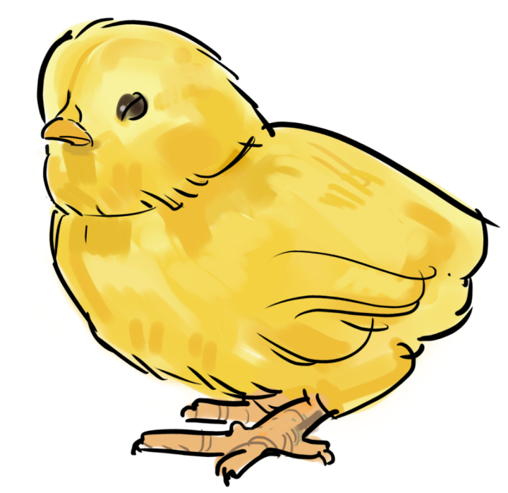 Illustration av en kyckling