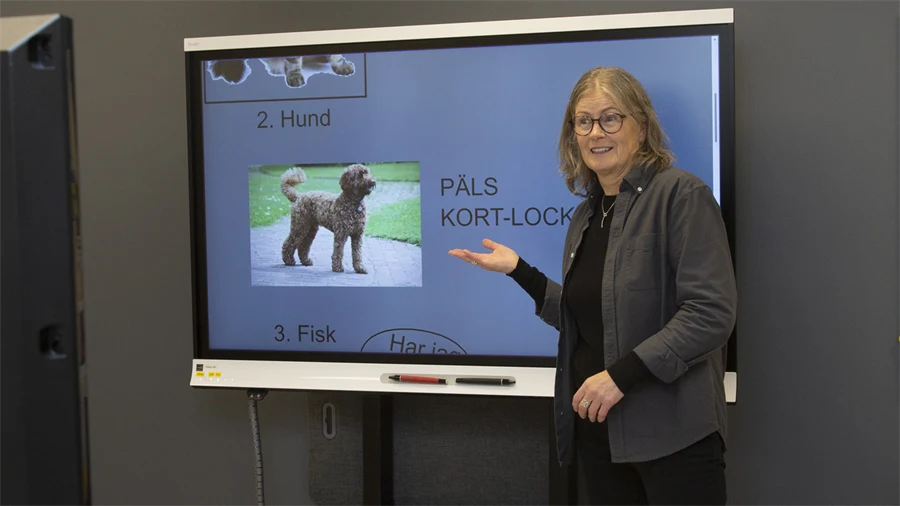 Läraren Ulrika står framför en skärm och pekar på en hund med lockig päls. 