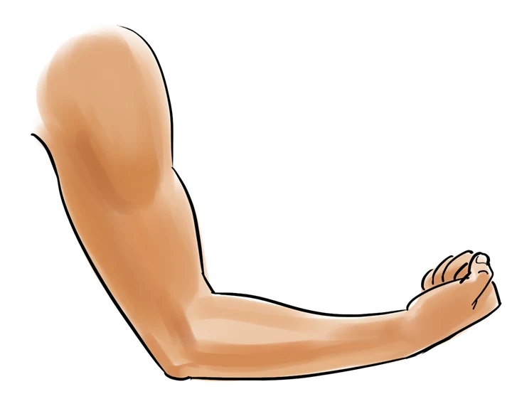 Illustrationen visar en böjd arm som knyter handen och spänner biceps