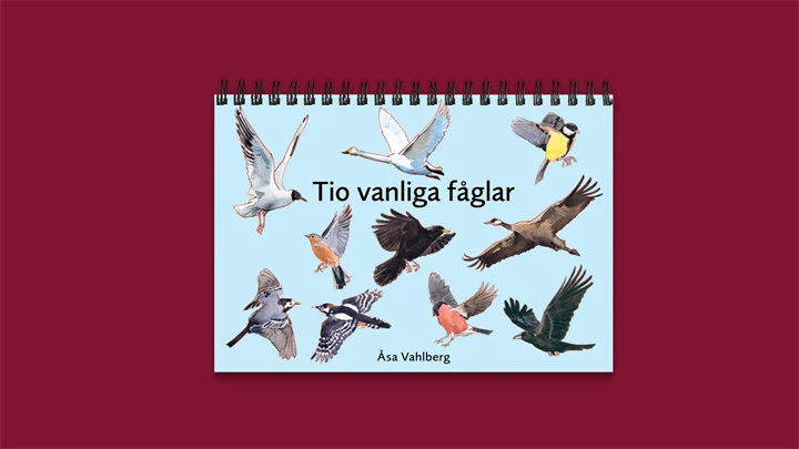 Fickboken Tio vanliga fåglar.