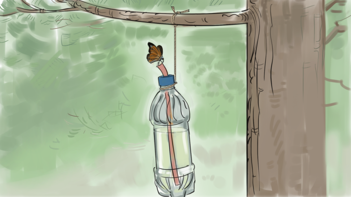 En vattenflaska upphängt i ett träd. Det är ett snöre i flaskan.