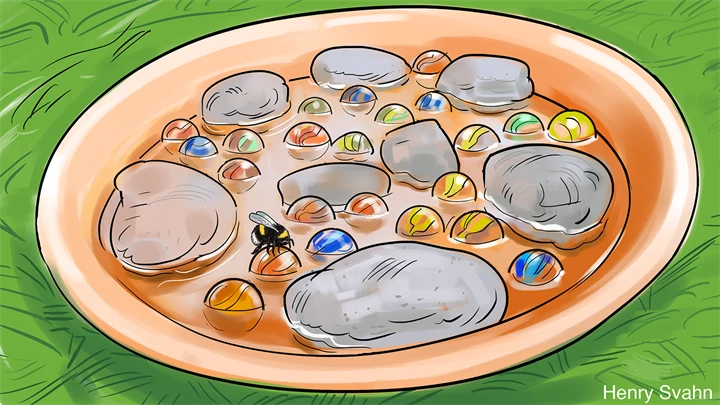 Illustration av stenar och spelkulor på ett vattenfyllt fat.