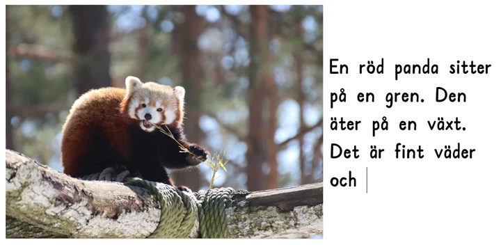 Exempeluppgift som visar en röd panda samt påbörjat arbete med att skriva meningar till bilden. Till vänster är den röd panda som äter på en gren. Till höger är en påbörjad text som lyder 