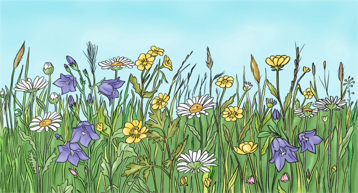 En illustration av en blomsteräng