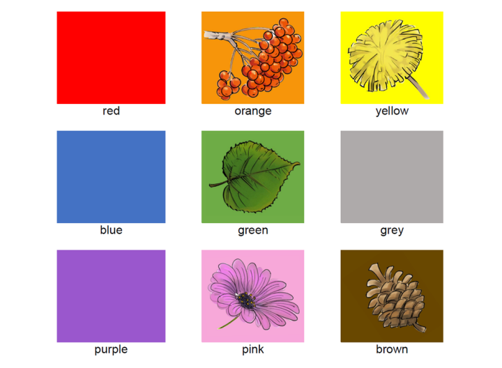 Rutor med olika färger.