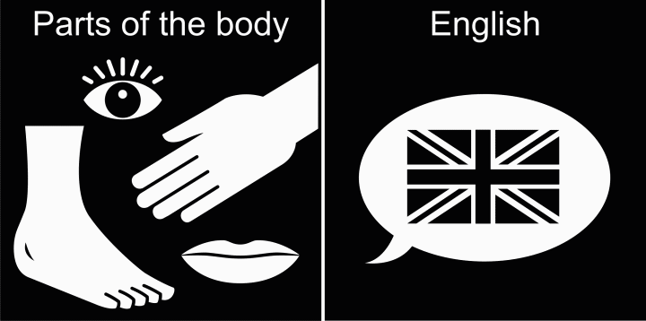 Pictogram: Kroppsdelar och engelska.