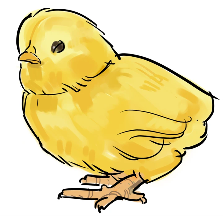 Illustration av en kyckling