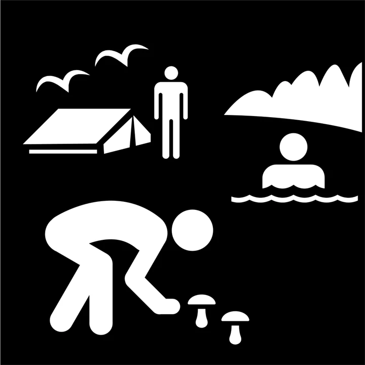 Pictogram bild av ordet Allemansrätten: en person tältar, en badar och en plockar svamp.